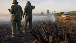 Dois agentes de fiscalizacao ambiental de costas em pastagem queimada ao amanhecer, com GPS na mao e caminhonete ao fundo na estrada de terra