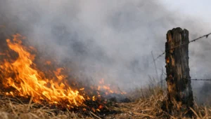 Frente de fogo avançando em pastagem seca, cena da nova infração que agrava a multa por reincidência em 5 anos