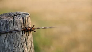 Mourao de cerca velho e arame enferrujado em pastagem deserta e desfocada, imagem do tempo decorrido que gera a prescricao