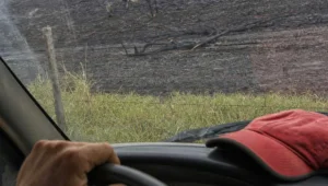 Pastagem queimada atrás da cerca de arame, vista de dentro da caminhonete do produtor rural, com o capim verde ainda intacto no lado de cá